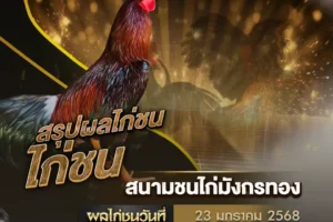 ผลไก่ชน 23 มกราคม 2568