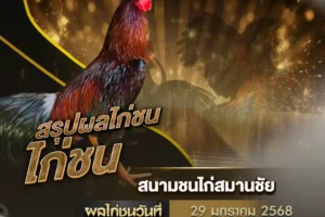 ผลไก่ชน 29 มกราคม 2568