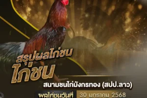 ผลไก่ชน 30 มกราคม 2568