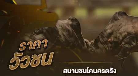 ราคาวัวชน 02 มกราคม 2568