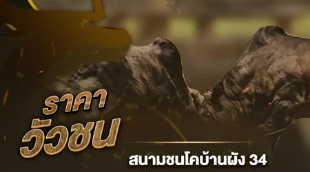 ราคาวัวชน 07 มกราคม 2568