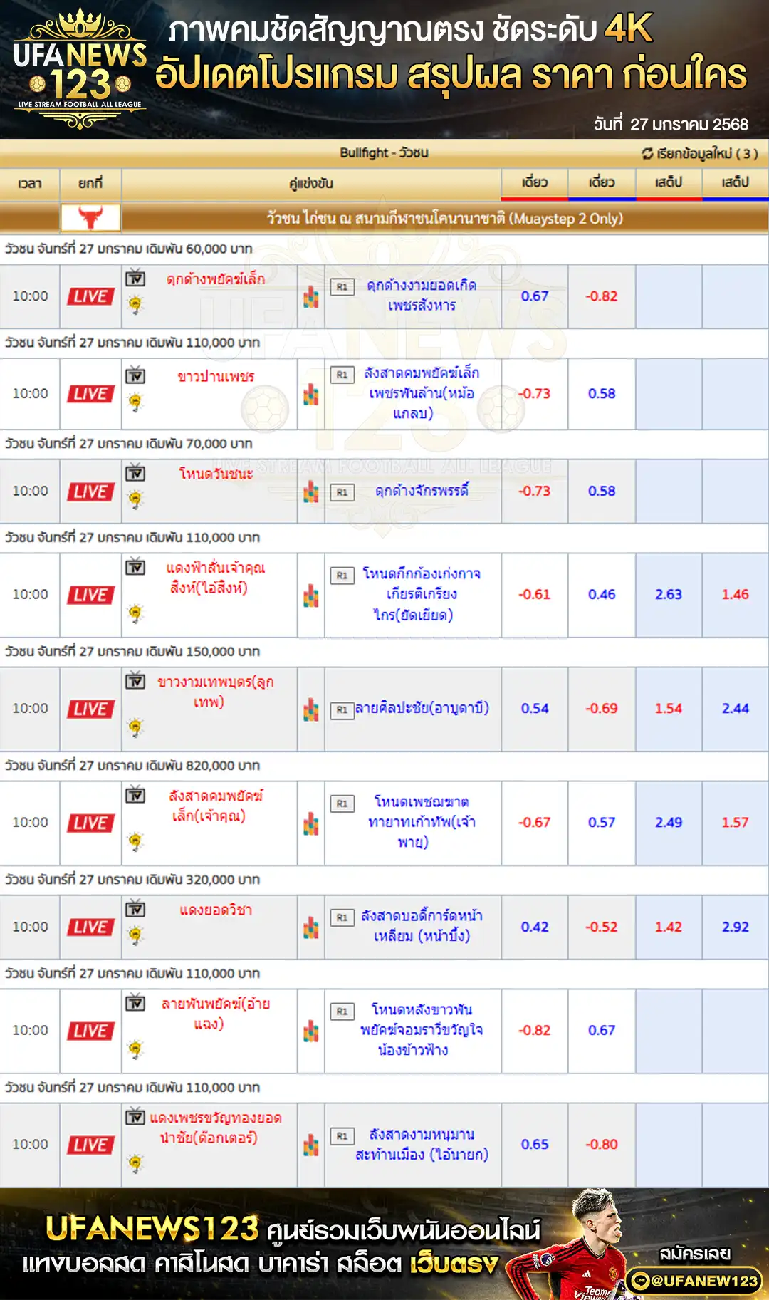 ราคาวัวชน สนามกีฬาชนโคบ้านหนองบัวใหญ่ เริ่มชนเวลา 10:30 น. 27 มกราคม 2568