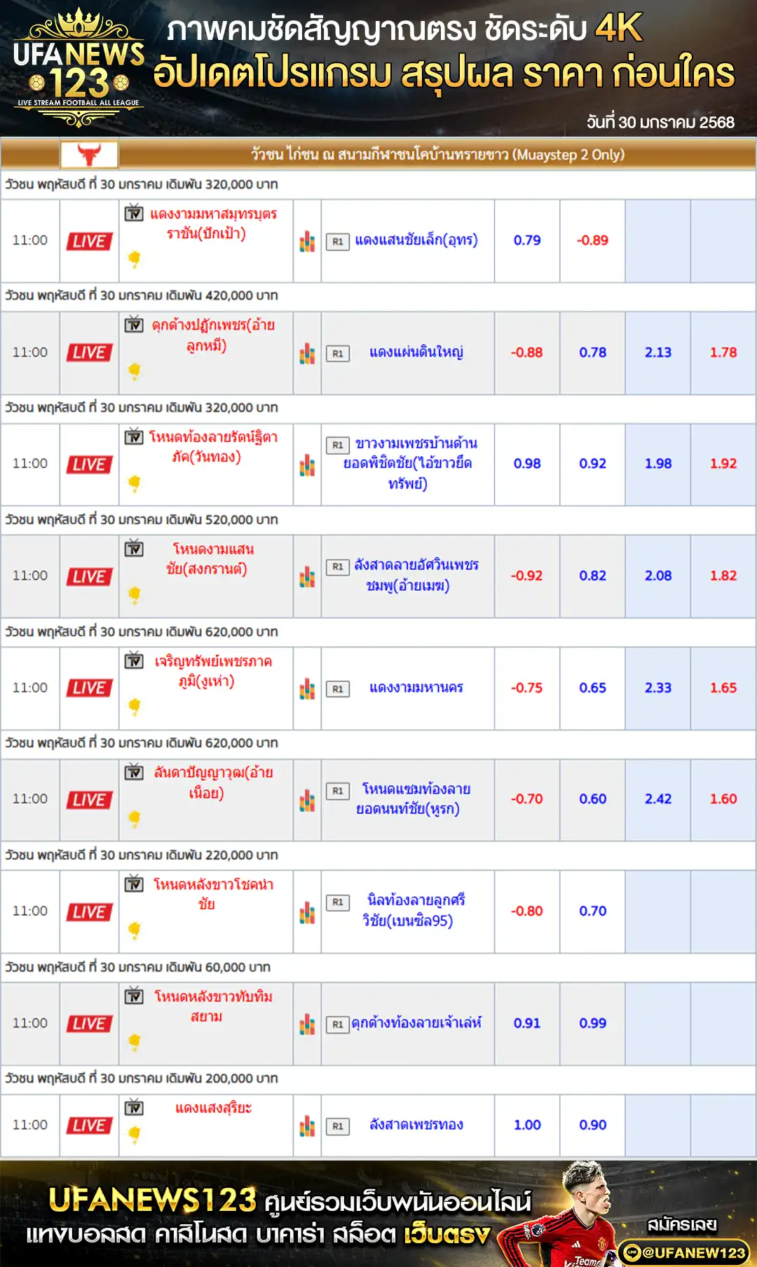 ราคาวัวชน สนามชนโคบ้านทรายขาว เริ่มชนเวลา 10.30 น. 30 ธันวาคม 2568