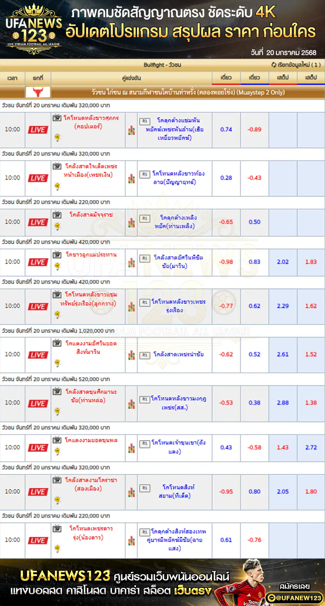 ราคาวัวชน สนามชนโคบ้านท่าหรั่ง เริ่มชนเวลา 10:30 น. 20 มกราคม 2568