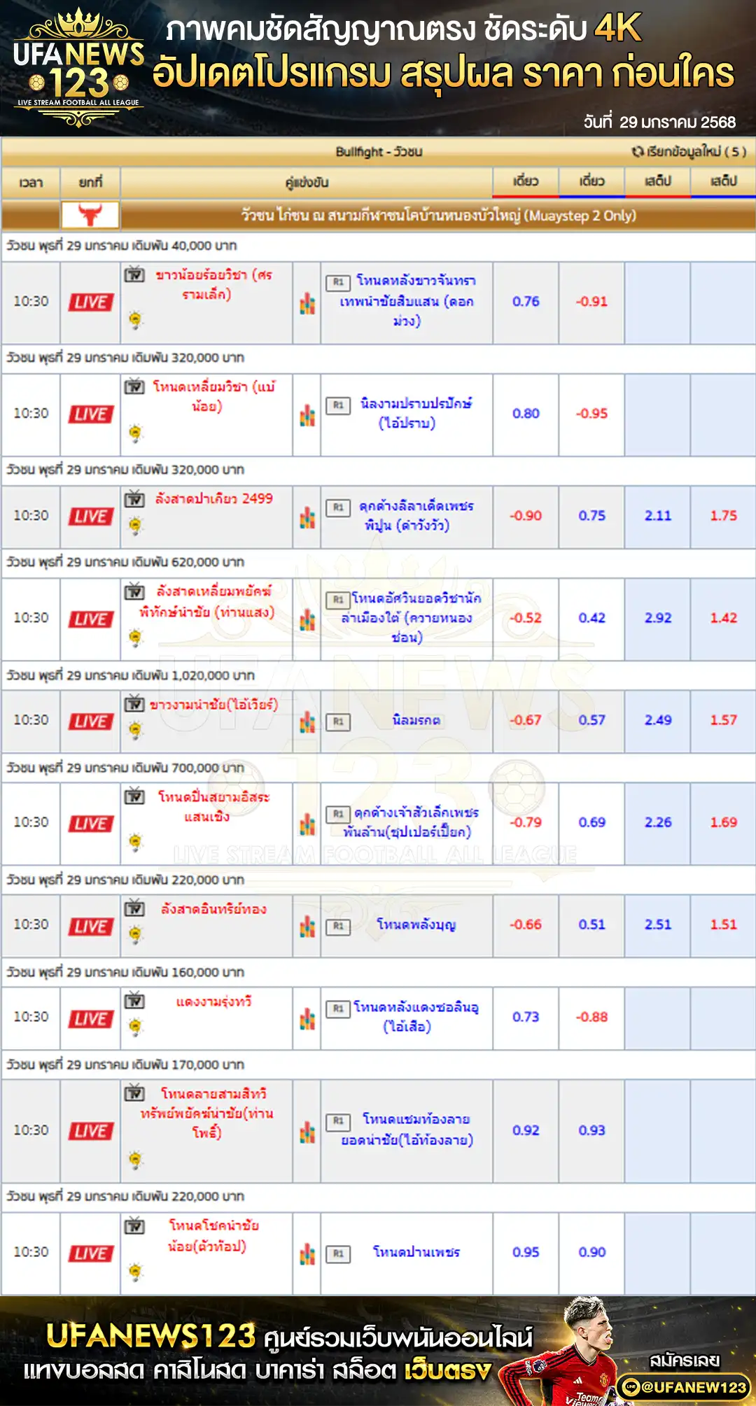 ราคาวัวชน สนามกีฬาชนโคบ้านหนองบัวใหญ่ เริ่มเวลา 10:30 น. 29 มกราคม 2568