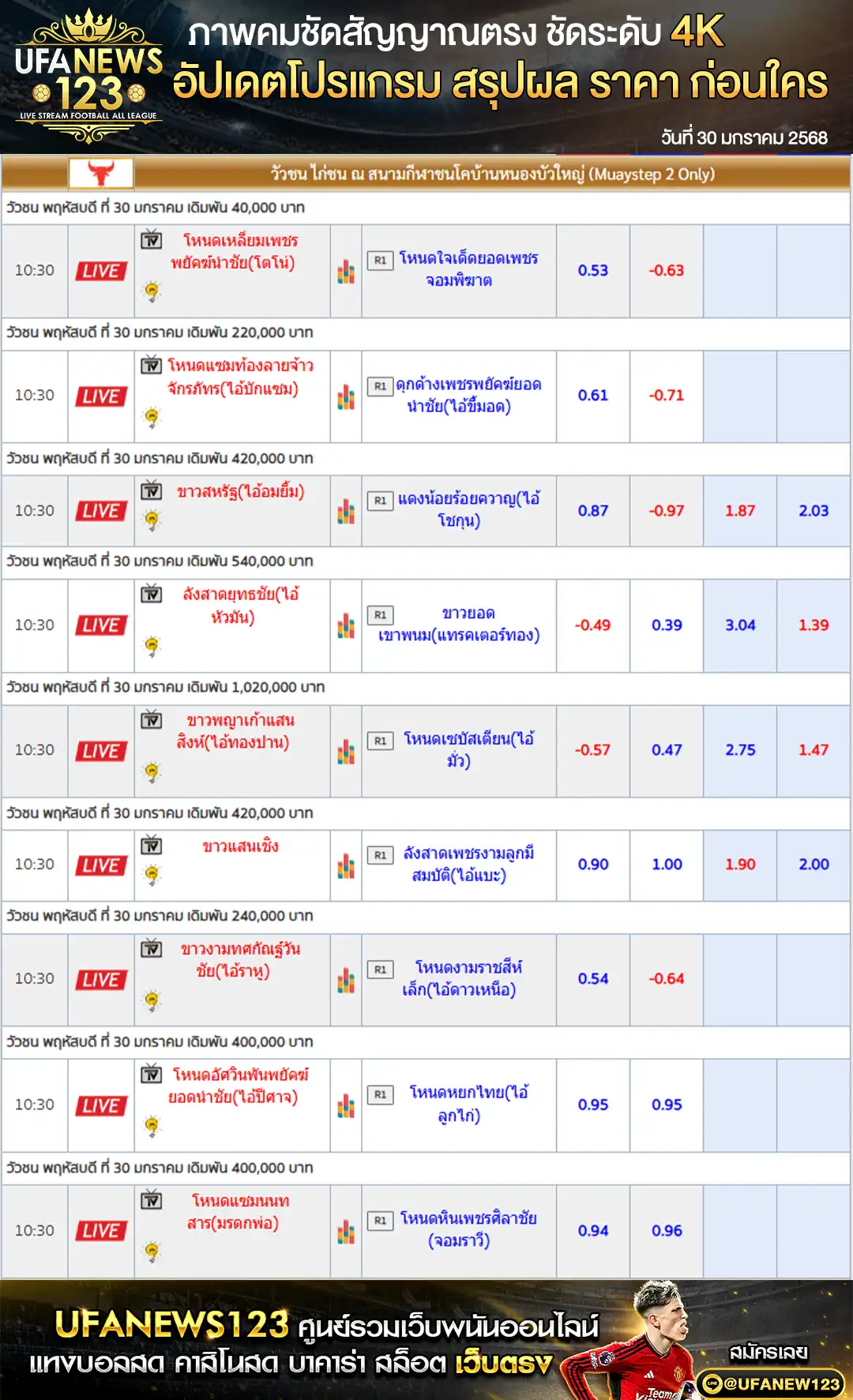 ราคาวัวชน สนามชนโคบ้านหนองบัวใหญ่ เริ่มชนเวลา 11.00 น. 30 มกราคม 2568