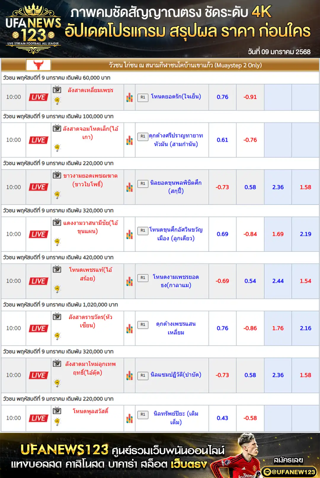 ราคาวัวชน สนามชนโคบ้านเขาแก้ว เริ่มชนเวลา 11:00 น. 09 มกราคม 2568