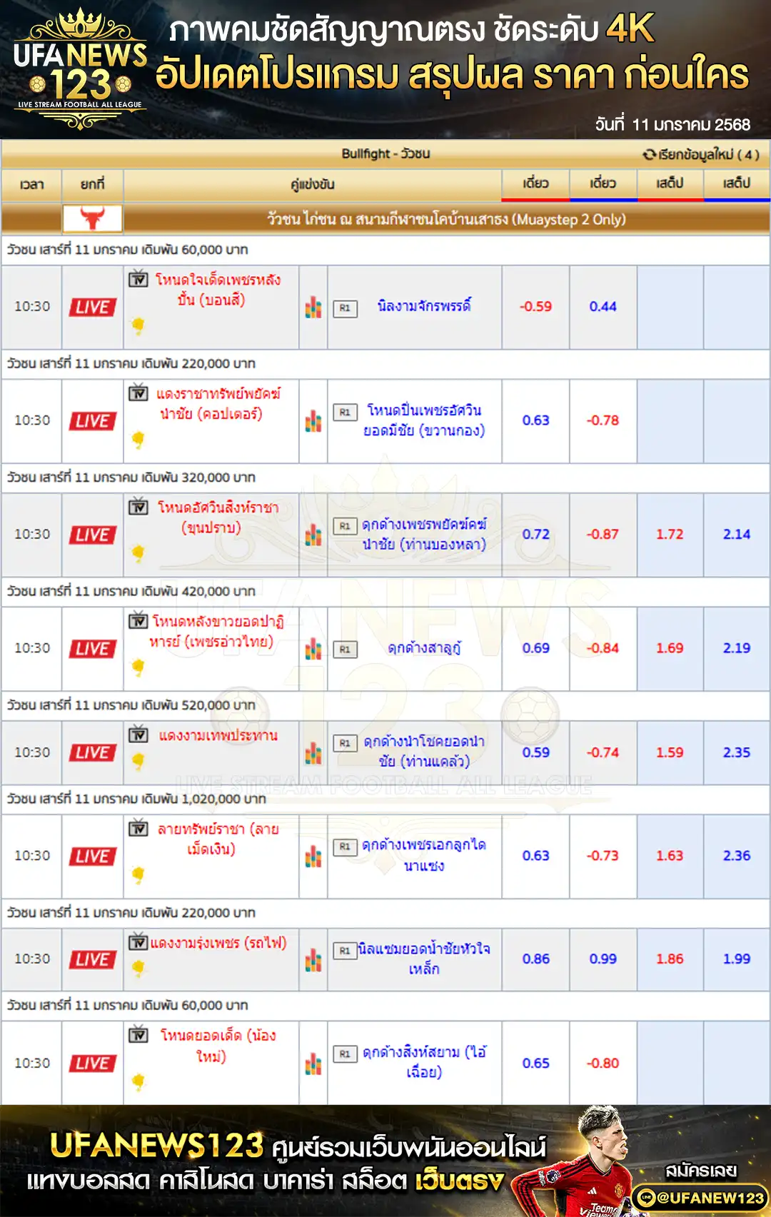 ราคาวัวชน สนามกีฬาชนโคบ้านเสาธงสเตเดี้ยม เริ่มชนเวลา 10:00 น. 11 มกราคม 2568