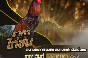 ราคาไก่ชน 26 มกราคม 2568