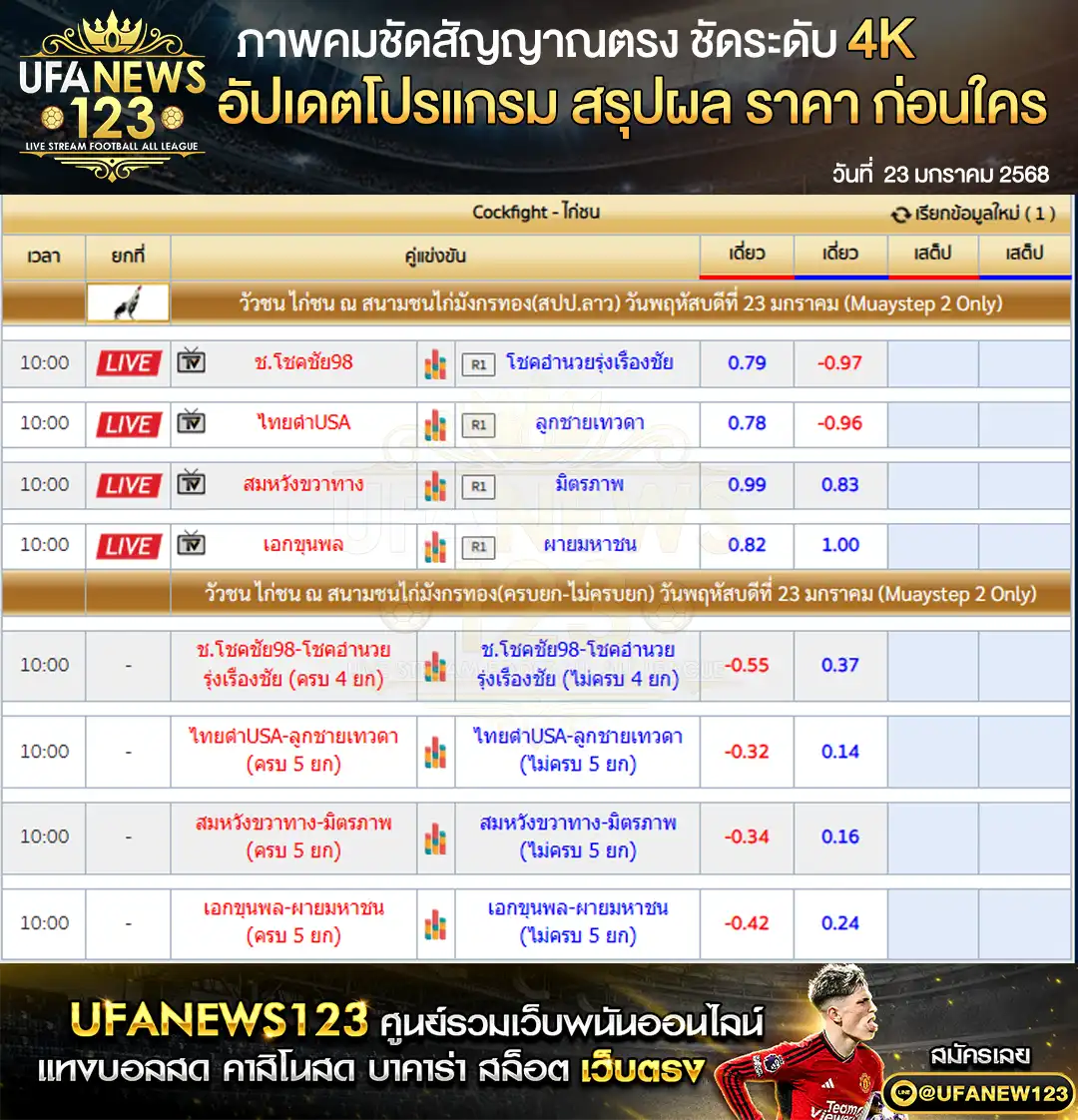 ราคาไก่ชน สนามชนไก่มังกรทอง 23 มกราคม 2568