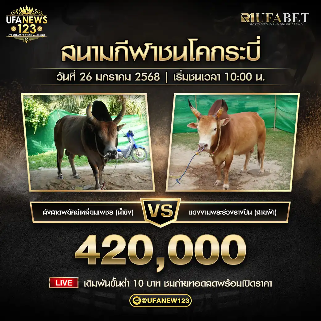 ลังสาดพยัคฆ์เหลี่ยมเพชร (น้ำขิง) VS แดงงามพระร่วงรางปืน (สายฟ้า) ชิงรางวัล 420,000 บาท 26 มกราคม 2568