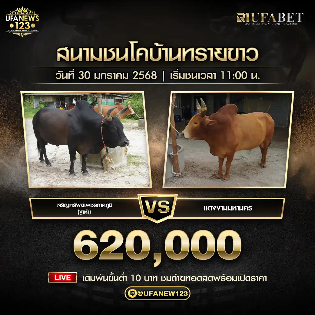 เจริญทรัพย์เพชรภาคภูมิ (งูเห่า) VS แดงงามมหานคร ชิงรางวัล 620,000 บาท 30 มกราคม 2568