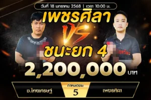 เทปไก่ชน ช.ไทยเศรษฐ์ VS เพชรศิลา 18 มกราคม 2568