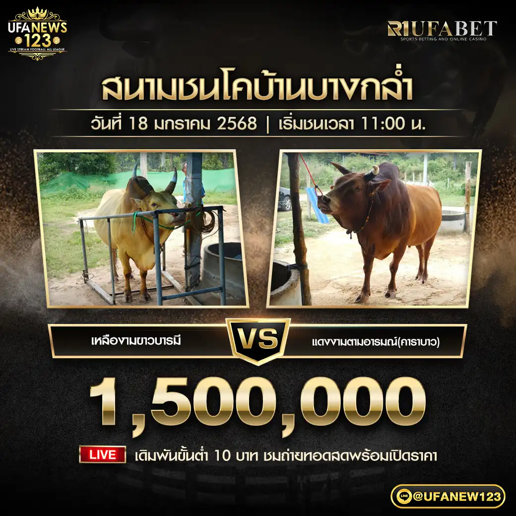 เหลืองามขาวบารมี VS แดงงามตามอารมณ์(คาราบาว) ชิงรางวัล 1,500,000 บาท 18 มกราคม 2568