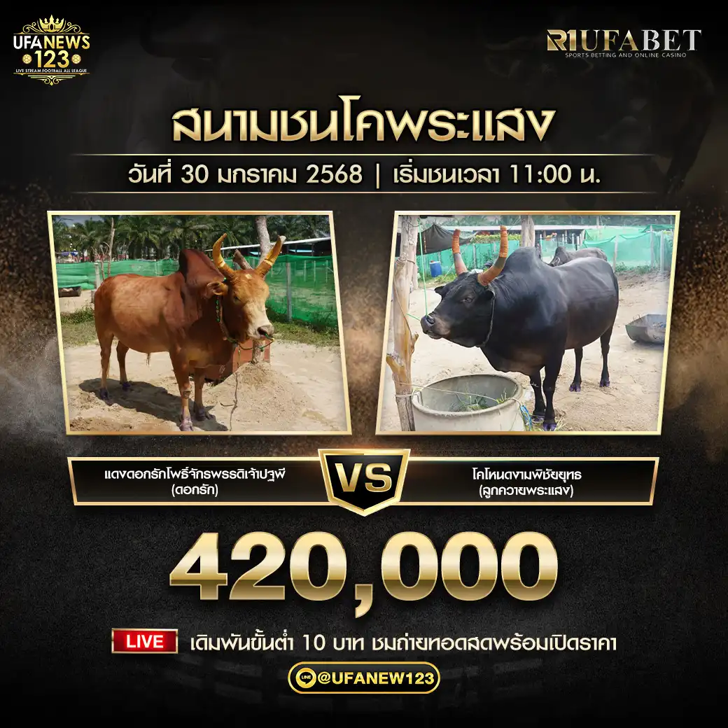 แดงดอกรักโพธิจักรพรรดิเจ้าปฐพี (ดอกรัก) VS โหนดงามพิชัยยุทธ (ลูกควายพระแสง) ชิงรางวัล 420,000 บาท 30 มกราคม 2568