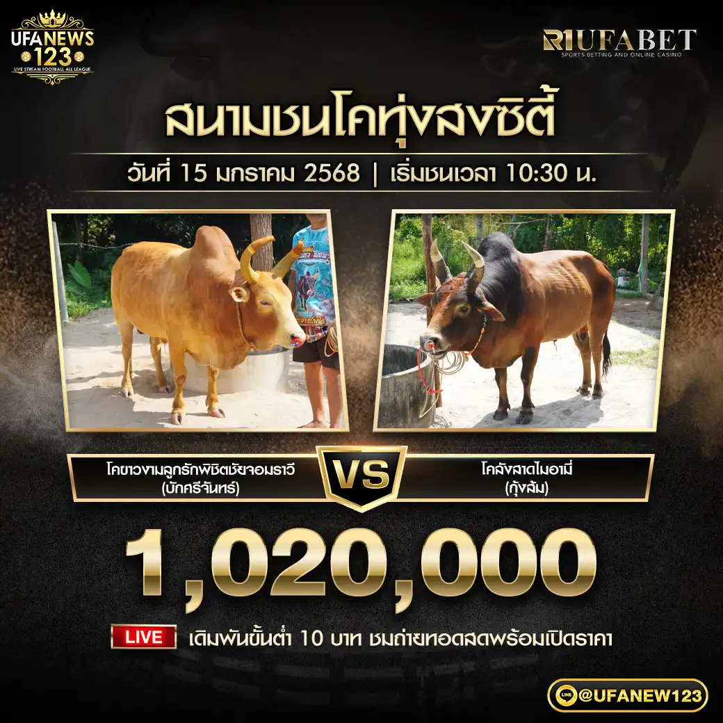 โคขาวงามลูกรักพิชิตชัยจอมราวี VS โคลังสาดไมอามี่ ชิงรางวัล 1,020,000 บาท 15 มกราคม 2568