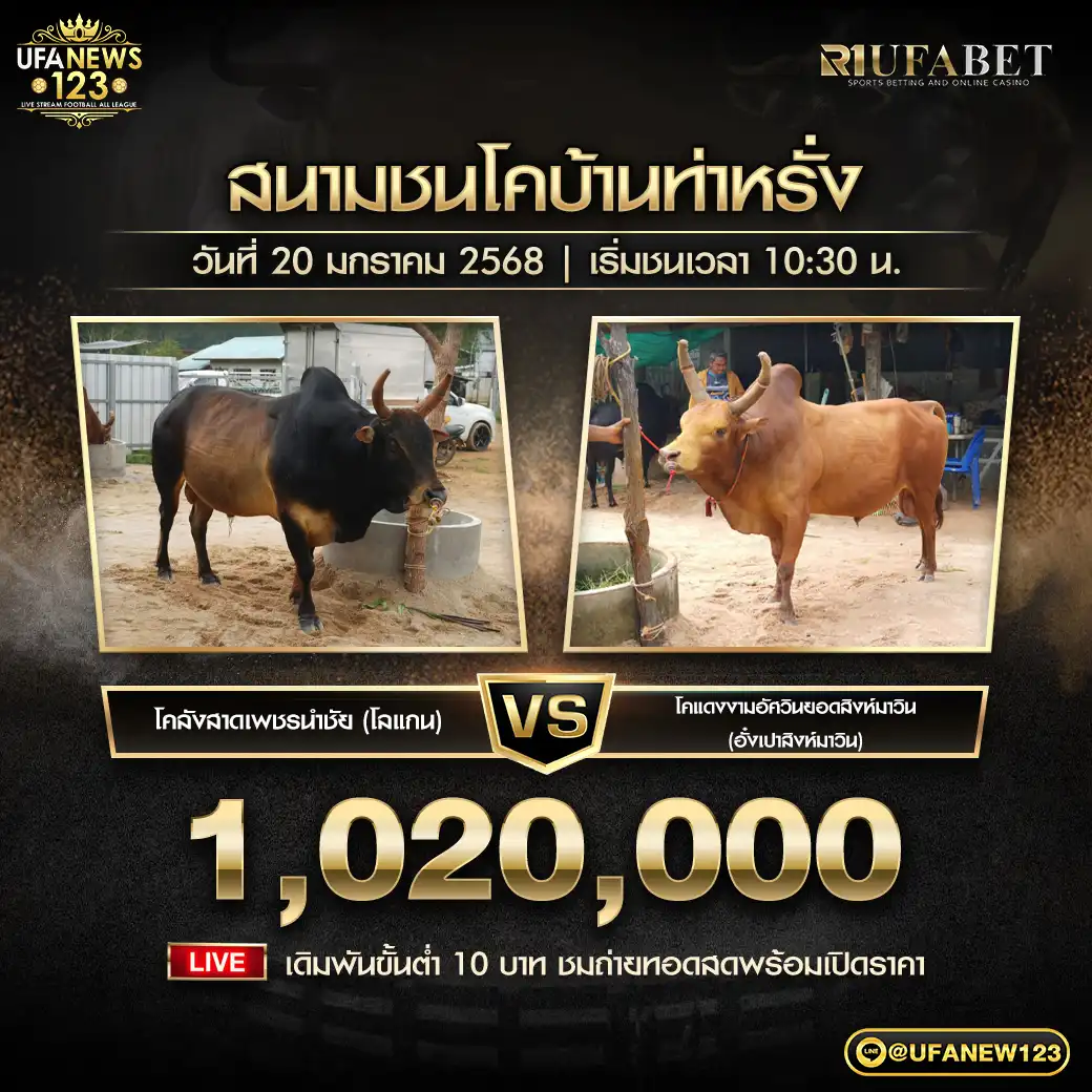 โคลังสาดเพชรนำชัย (โลแกน) VS โคแดงงามอัศวินยอดสิงห์มาวิน (อั่งเปาสิงห์มาวิน) ชิงรางวัล 1,020,000 บาท 20 มกราคม 2568