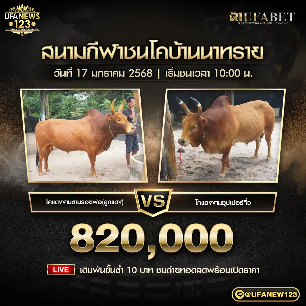 โคแดงงามตามรอยพ่อ (ลูกแดง) VS โคแดงงามซุปเปอร์จิ๋ว ชิงรางวัล 820,000 บาท 17 มกราคม 2568