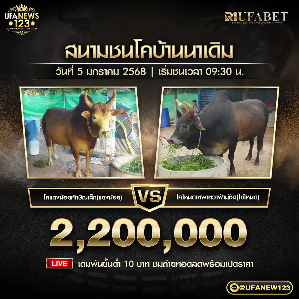 โคแดงน้อยทักษิณเล็ก VS โคโหนดเทพเทวาฟ้ามีชัย ชิงรางวัล 2,200,000 บาท 05 มกราคม 2568