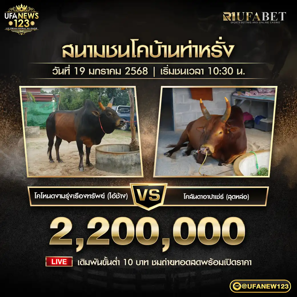 โคโหนดงามรุ่งเรืองทรัพย์ (ไอ้ช้าง) VS โคลันดาอาปาเช่ร์ (สุดหล่อ) ชิงรางวัล 2,200,000 บาท 19 มกราคม 2568