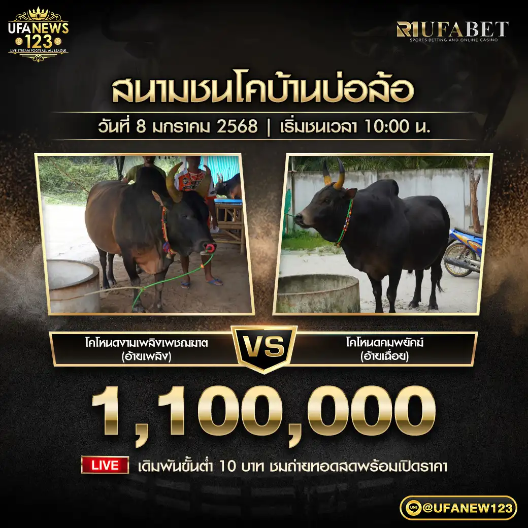 โคโหนดงามเพลิงเพชฌฆาต (อ้ายเพลิง) VS โคโหนดคมพยัคฆ์ (อ้ายเฉื่อย) ชิงรางวัล 1,100,000 บาท 08 มกราคม 2568