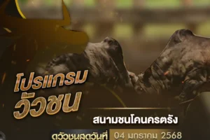 โปรแกรมวัวชน 04 มกราคม 2568