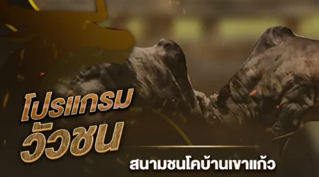 โปรแกรมวัวชน 09 มกราคม 2568