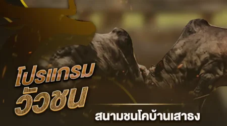 โปรแกรมวัวชน 10 มกราคม 2568