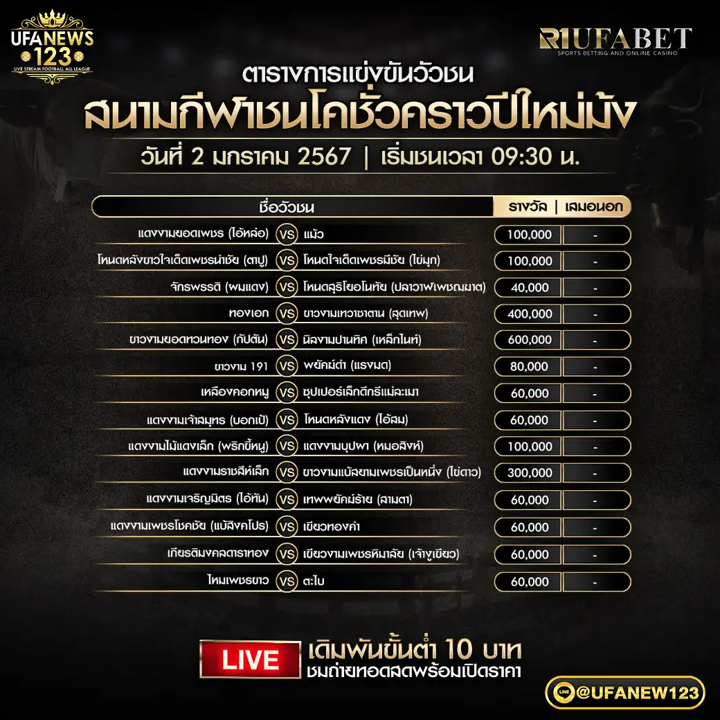 โปรแกรมวัวชน สนามชนโคชั่วคราวปีใหม่ม้ง เริ่มชนเวลา 09:30 น. 02 มกราคม 2568