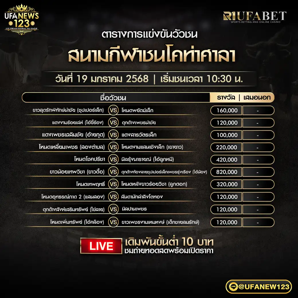 โปรแกรมวัวชน สนามชนโคท่าศาลา เริ่มชนเวลา 10:30 น. 19 มกราคม 2568