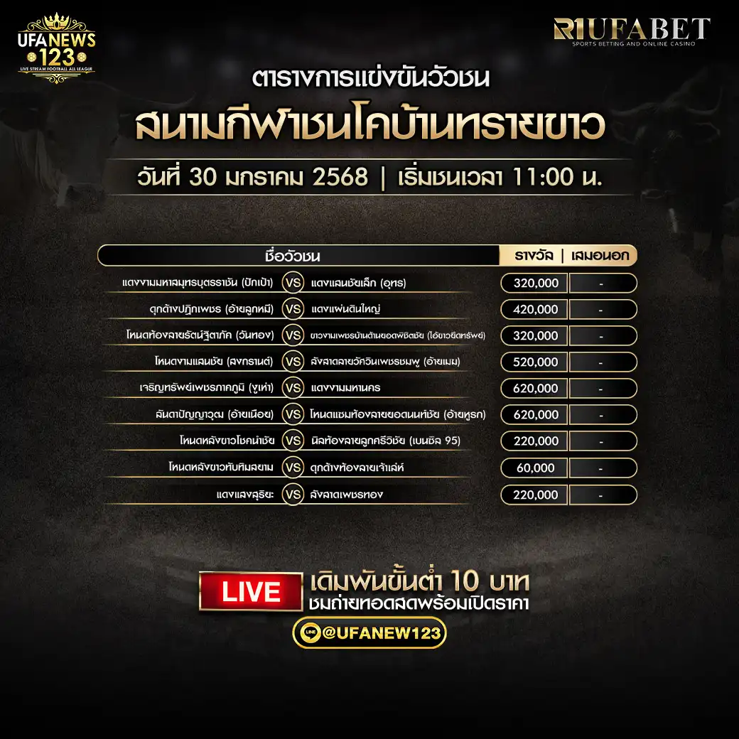 โปรแกรมวัวชน สนามกีฬาชนโคบ้านทรายขาว เริ่มชนเวลา 11:00 น. 30 มกราคม 2568