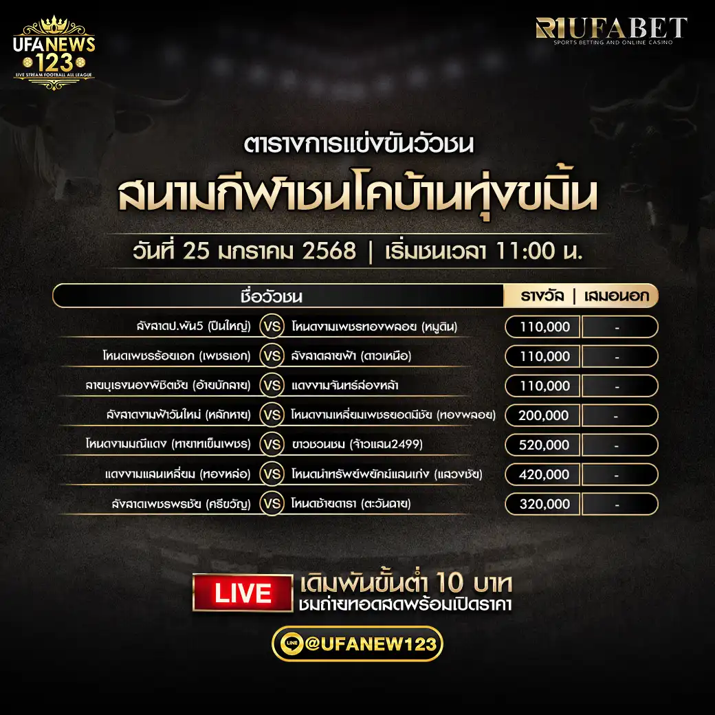 โปรแกรมวัวชน สนามชนโคบ้านทุ่งขมิ้น เริ่มชนเวลา 11:00 น. 25 มกราคม 2568