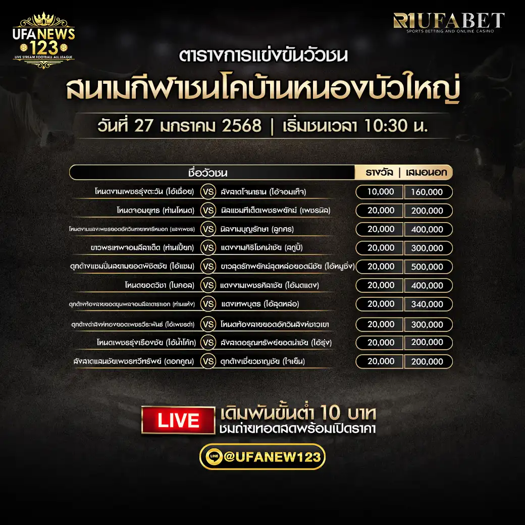 โปรแกรมวัวชน สนามกีฬาชนโคบ้านหนองบัวใหญ่ เริ่มชนเวลา 10:30 น. 27 มกราคม 2568