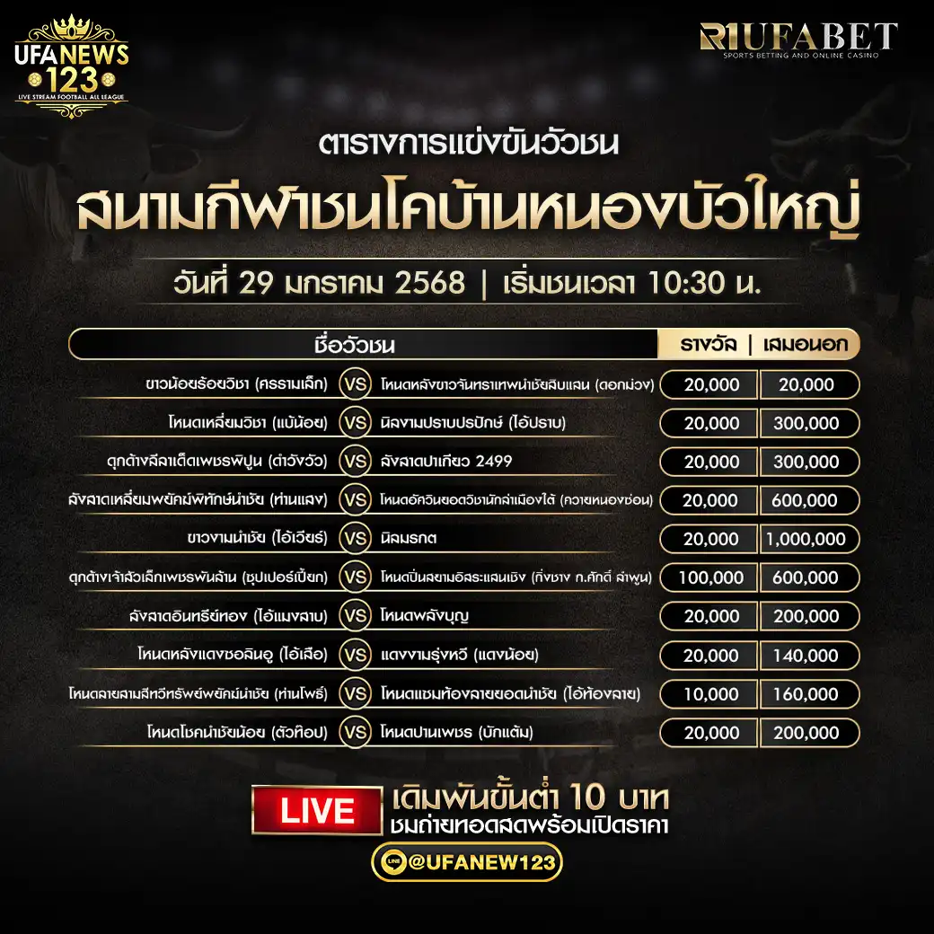 โปรแกรมวัวชน สนามกีฬาชนโคบ้านหนองบัวใหญ่ เริ่มเวลา 10:30 น. 29 มกราคม 2568