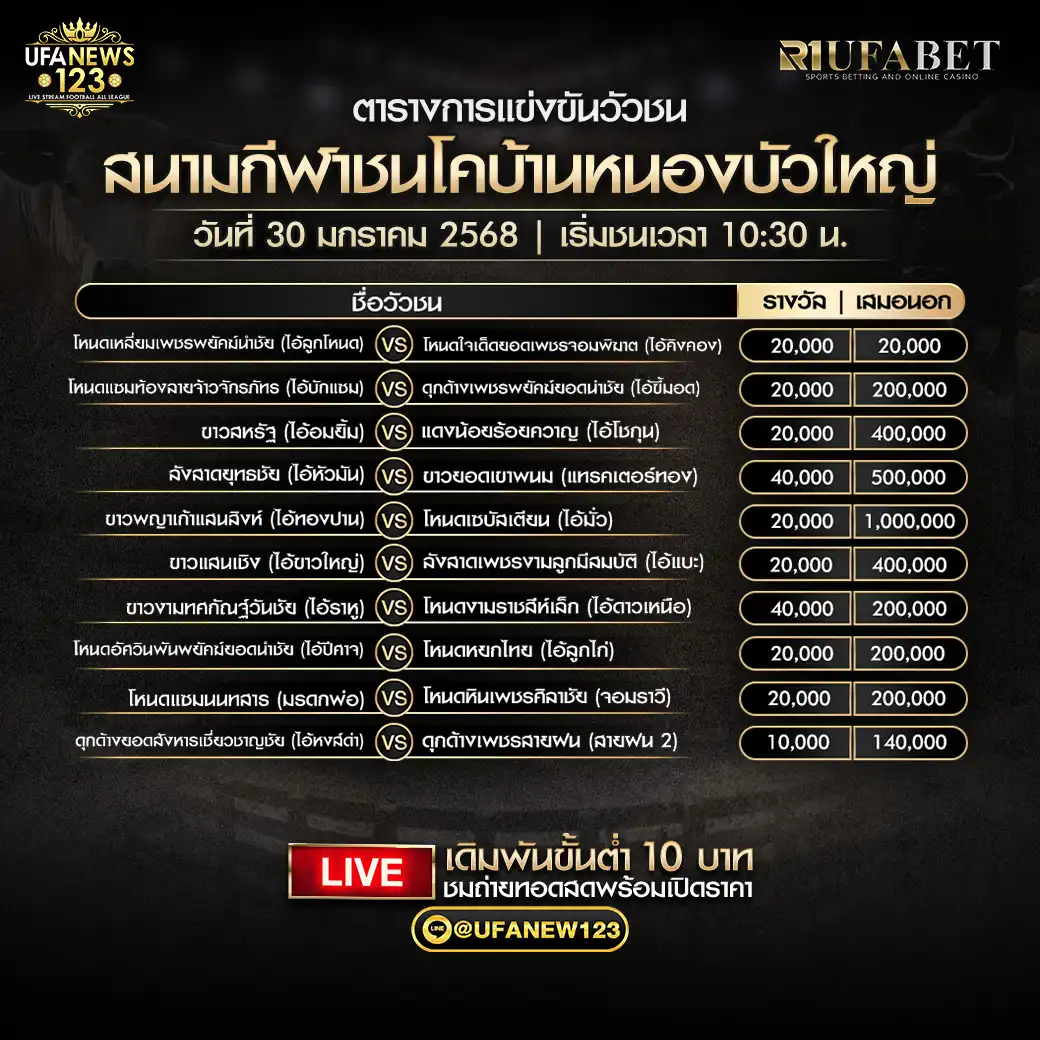 โปรแกรมวัวชน สนามกีฬาชนโคบ้านหนองบัวใหญ่ เริ่มชนเวลา 10:30 น. 30 มกราคม 2568