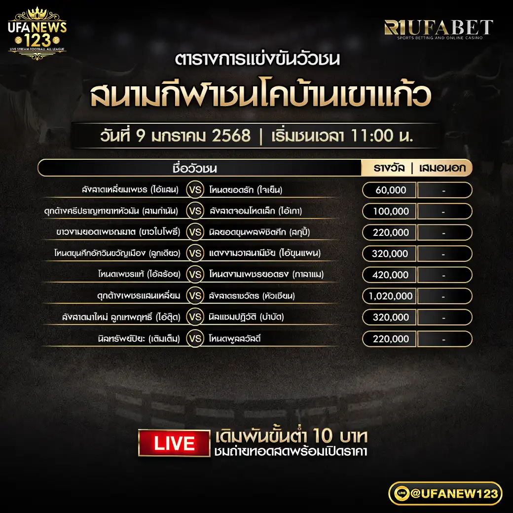 โปรแกรมวัวชน สนามชนโคบ้านเขาแก้ว เริ่มชนเวลา 11.00 น. 09 มกราคม 2568