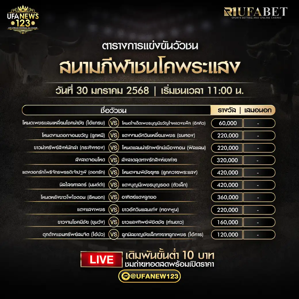 โปรแกรมวัวชน สนามกีฬาชนโคพระแสง เริ่มชนเวลา 11:00 น. 30 มกราคม 2568