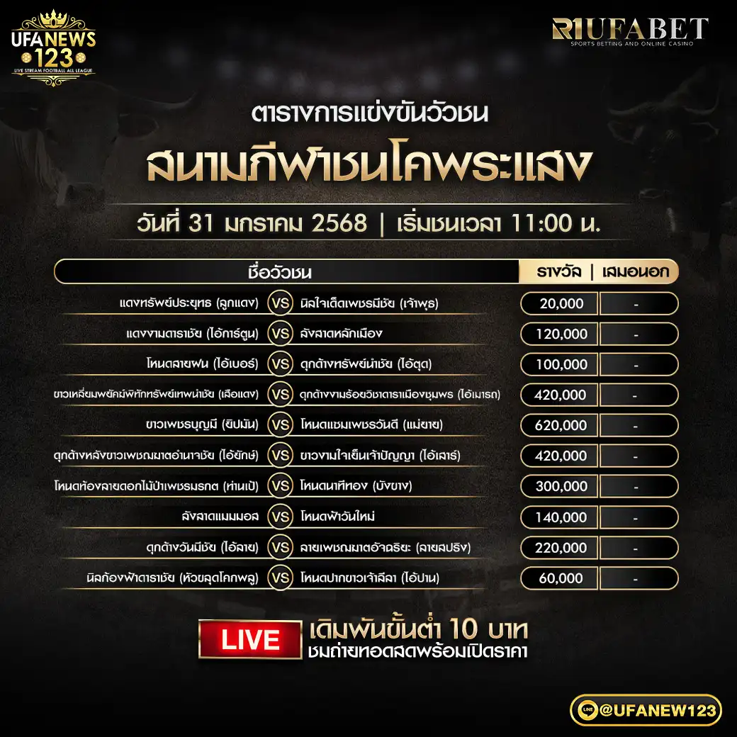 โปรแกรมวัวชน สนามชนโคพระแสง เริ่มชนเวลา 11.00 น. 31 มกราคม 2568