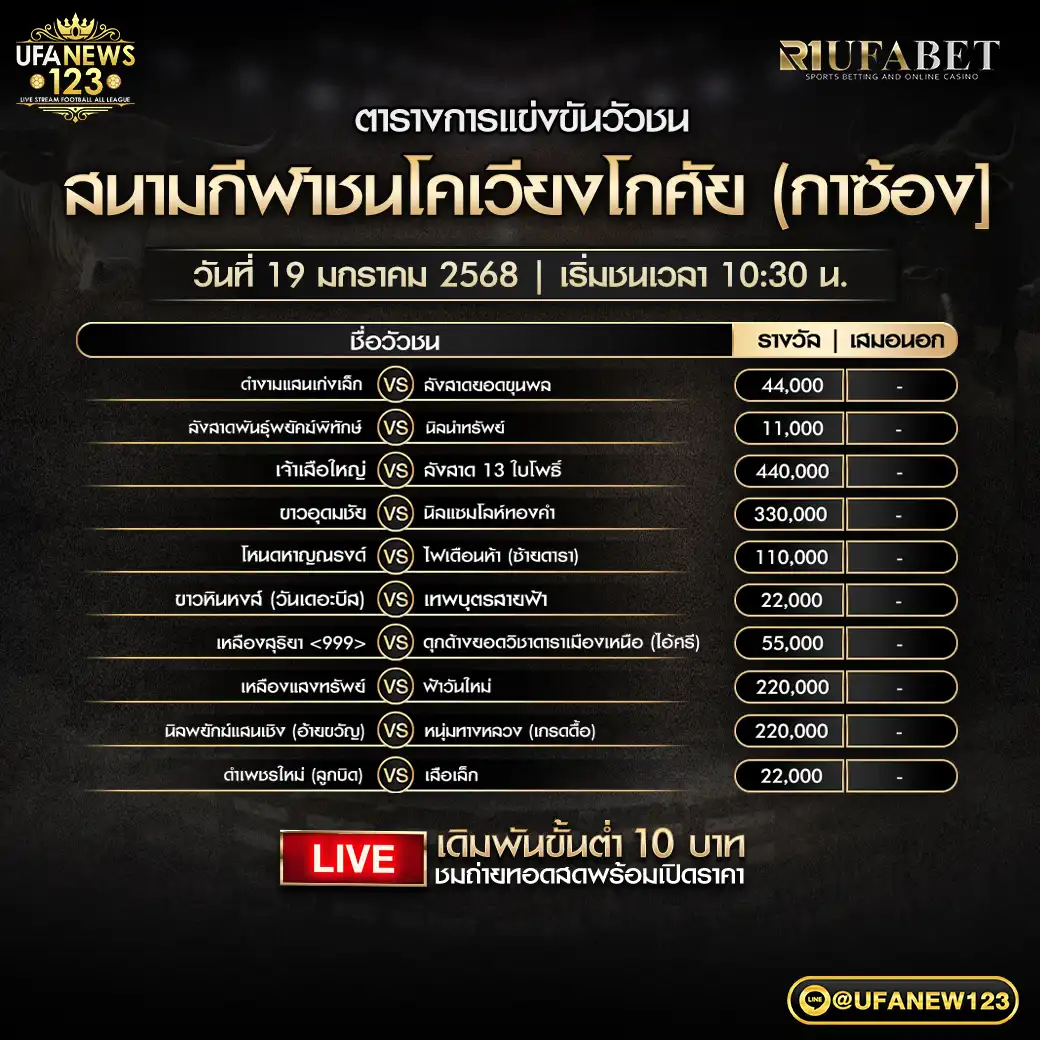 โปรแกรมวัวชน สนามชนโคเวียงโกศัย (กาซ้อง) เริ่มชนเวลา 10:30 น. 19 มกราคม 2568