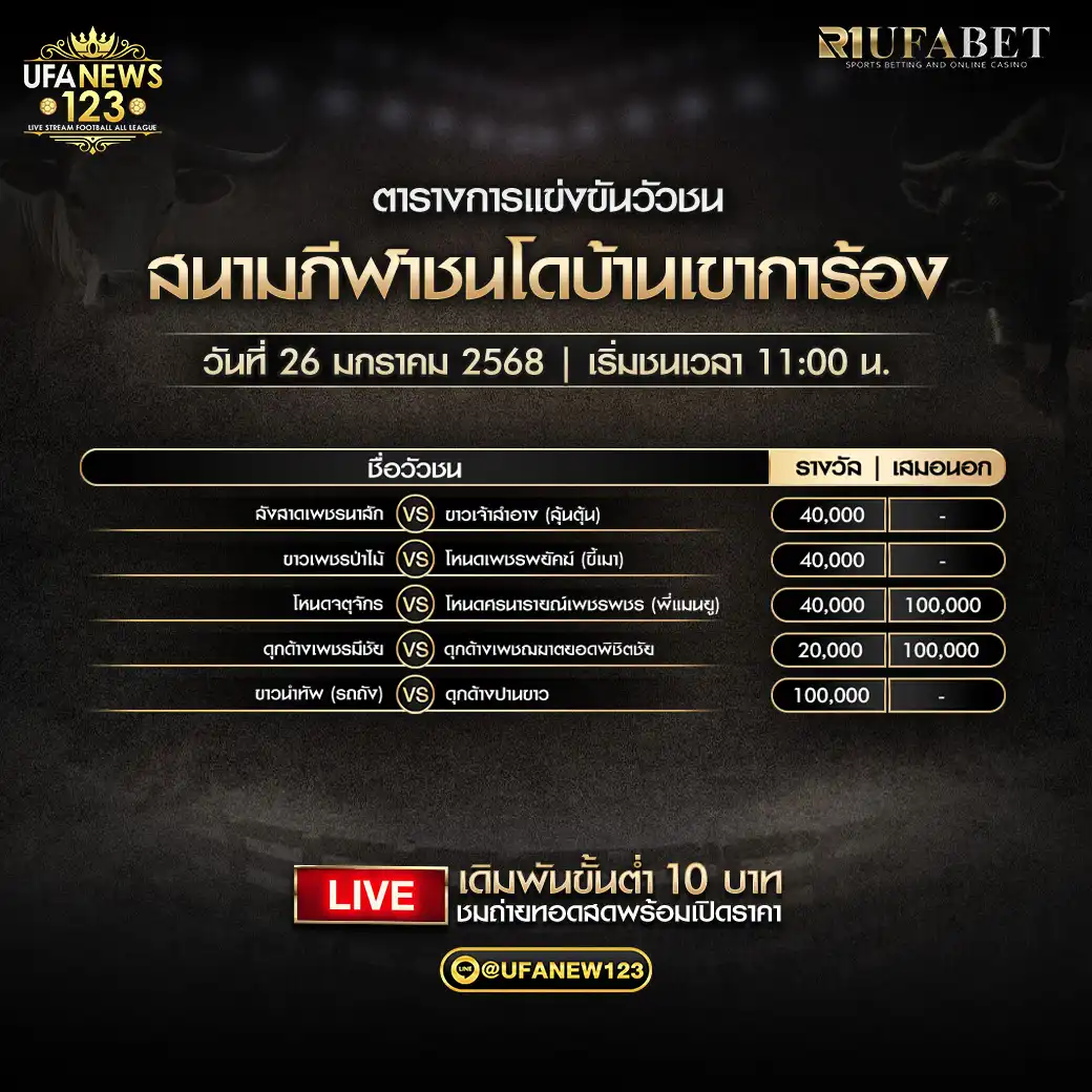 โปรแกรมวัวชน สนามกีฬาชนโดบ้านเขาการ้อง เริ่มชนเวลา 11:00 น. 26 มกราคม 2568