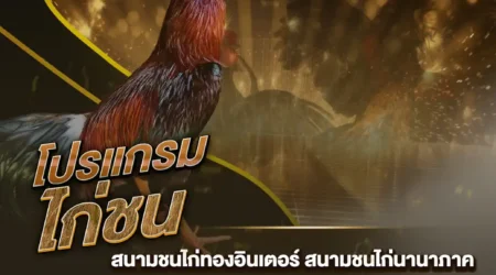 โปรแกรมไก่ชน 04 มกราคม 2568