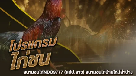 โปรแกรมไก่ชน 17 มกราคม 2568