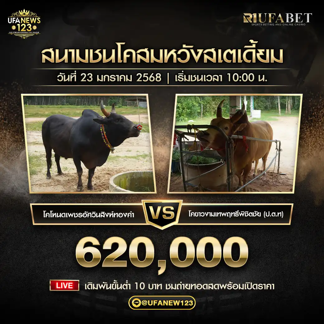 โหนดเพชรอัศวินสิงห์ทองคำ VS ขาวงามเทพฤทธิ์พิชิตชัย (ป.ส.ท.) ชิงรางวัล 620,000 บาท 23 มกราคม 2568