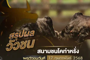 ผลวัวชน 17 กุมภาพันธ์ 2568