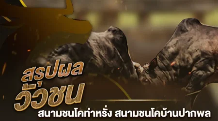 ผลวัวชน 18 กุมภาพันธ์ 2568