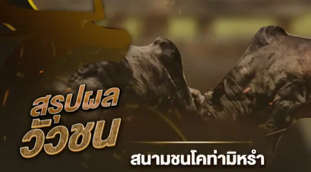 ผลวัวชน 21 กุมภาพันธ์ 2568