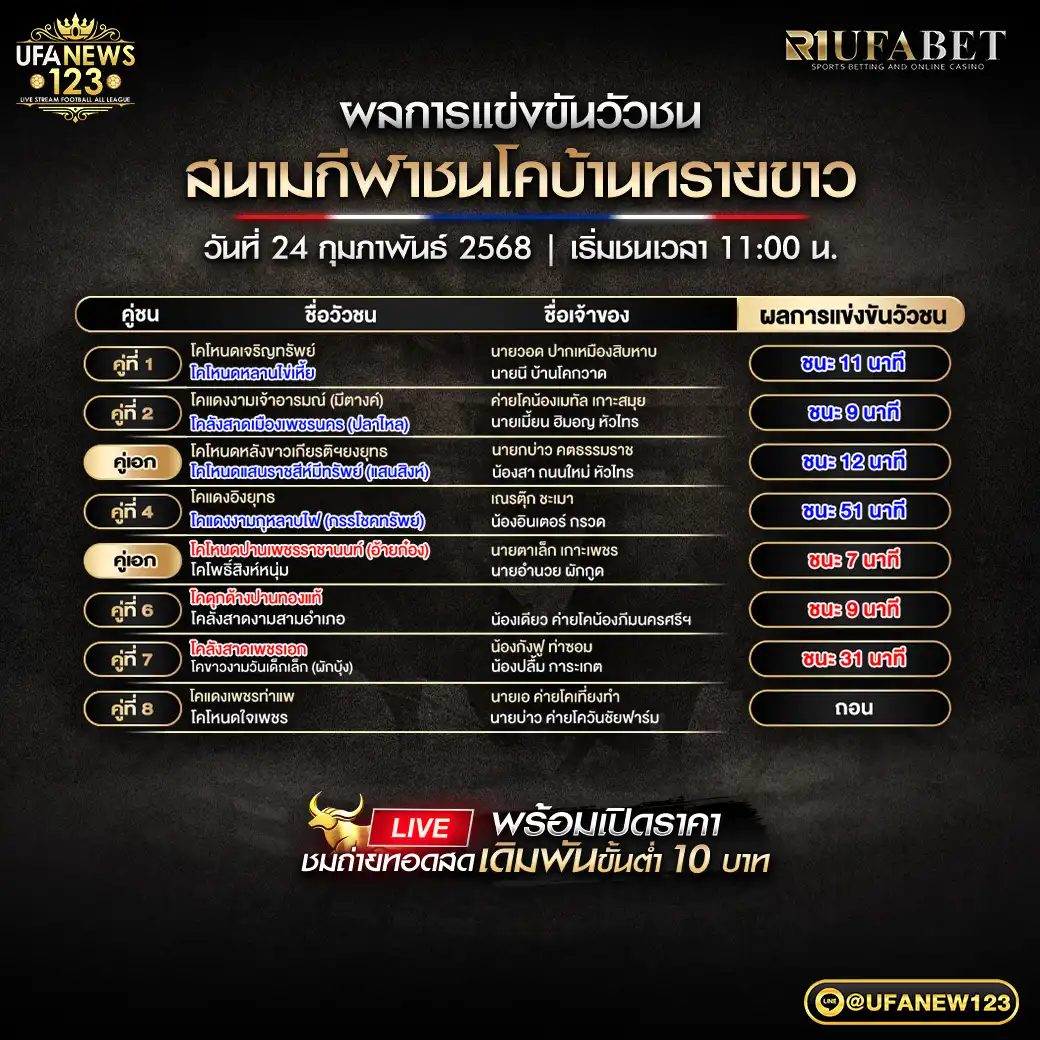 สรุปผลวัวชน สนามชนโคบ้านทรายขาว 24 กุมภาพันธ์ 2568