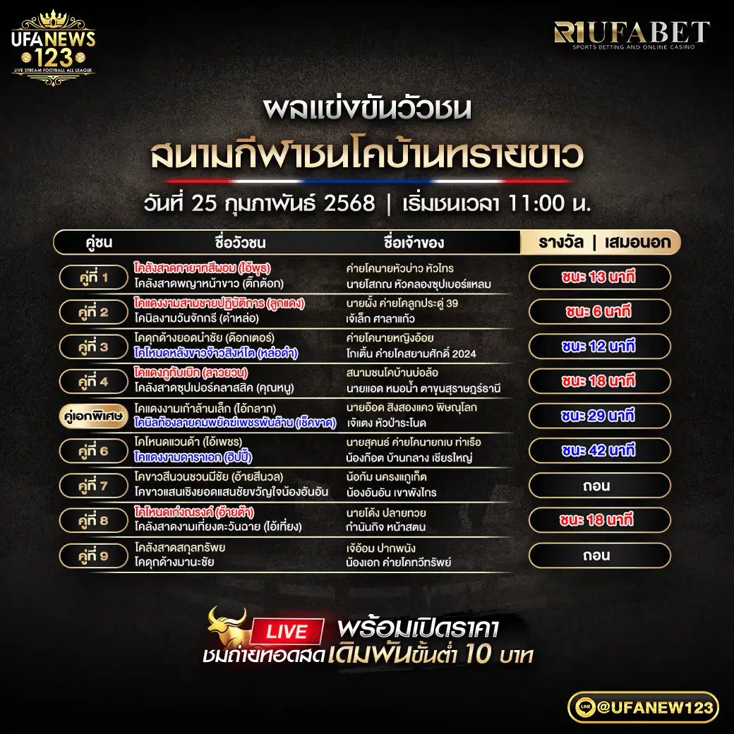 สรุปผลวัวชน สนามชนโคบ้านทรายขาว 25 กุมภาพันธ์ 2568