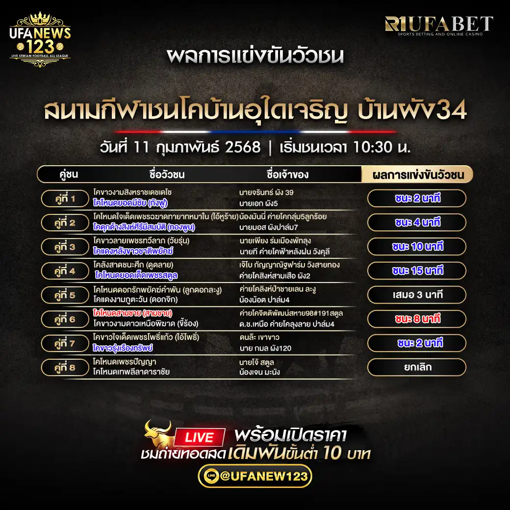 สรุปผลวัวชน  สนามกีฬาชนโคบ้านอุใดเจริญ บ้านผัง34 11 กุมภาพันธ์ 2568