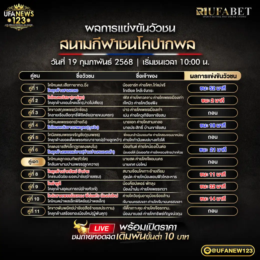 สรุปผลวัวชน สนามชนโคปากพล 19 กุมภาพันธ์ 2568